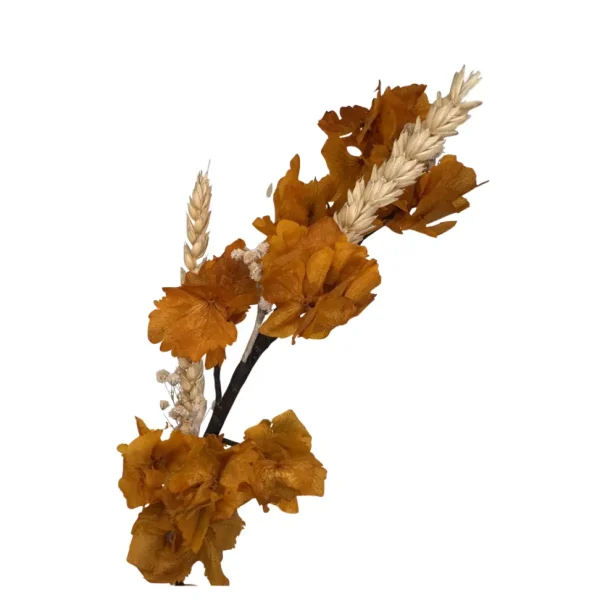 Ramillete Flor Preservada Y Espiga
