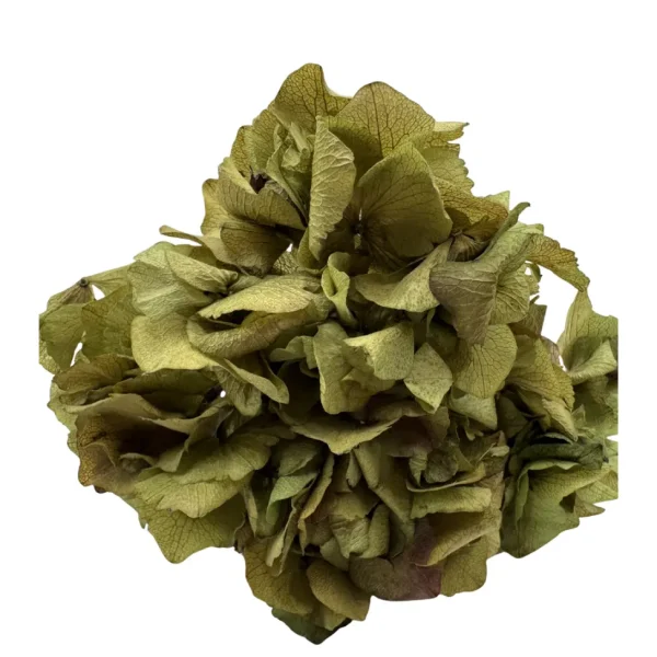 Ramillete Hortensias Preservadas Verde y Flor Suelta