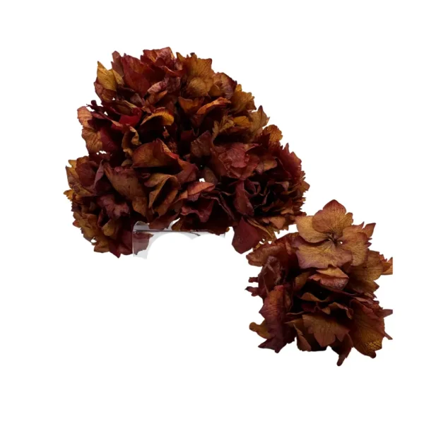 Ramillete Hortensias Preservadas Burdeos y Flor Suelta