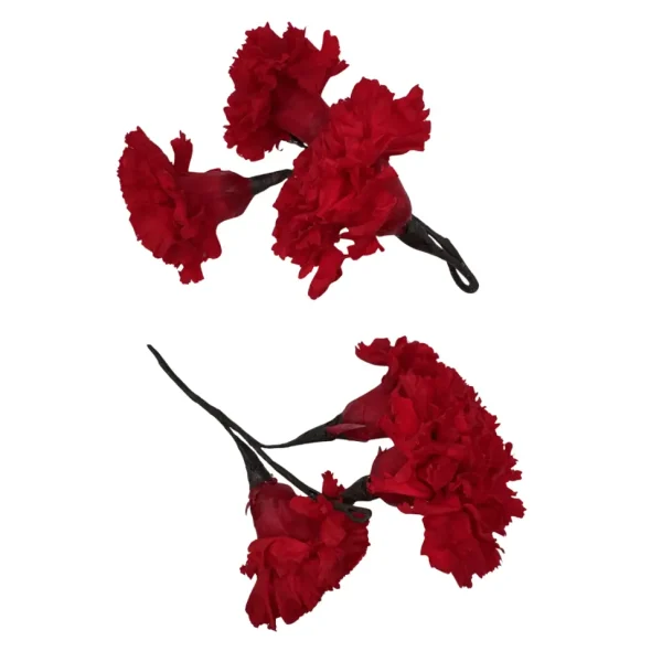 Ramillete Clavel Preservado (2 Unid) Rojo
