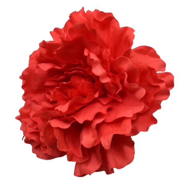 Peonía Básica Coral